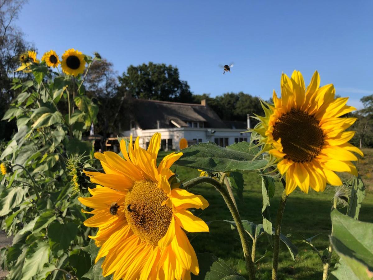 Villa Blauwhemel Diever Exteriér fotografie